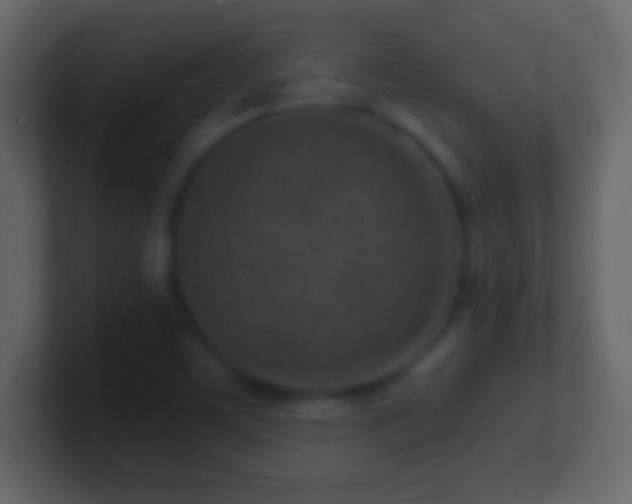 X0000101421459200807071305