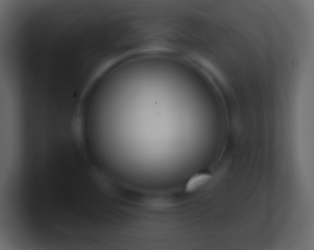 X0000101421460200807071305