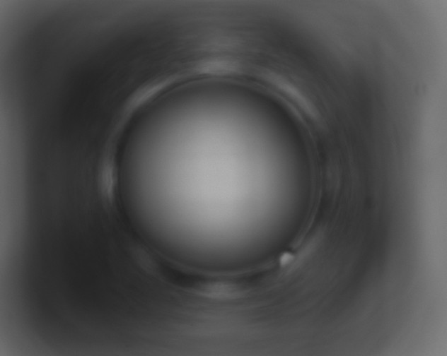 X0000101421461200807071305