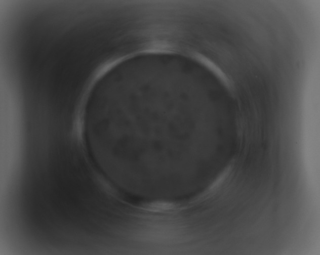 X0000101421463200807071305