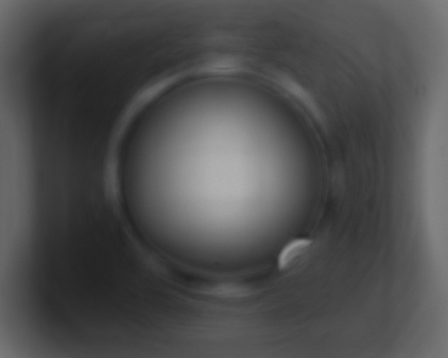 X0000101421464200807071305