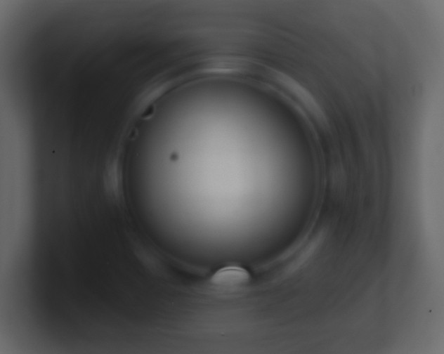 X0000101421465200807071305