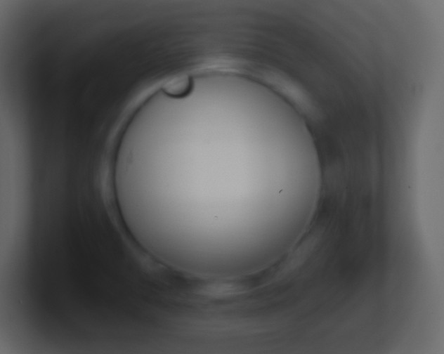 X0000101421470200807071305