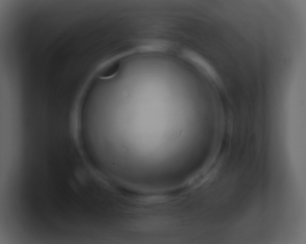 X0000101421471200807071305