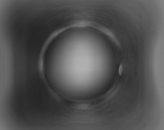 X0000101421472200807071305