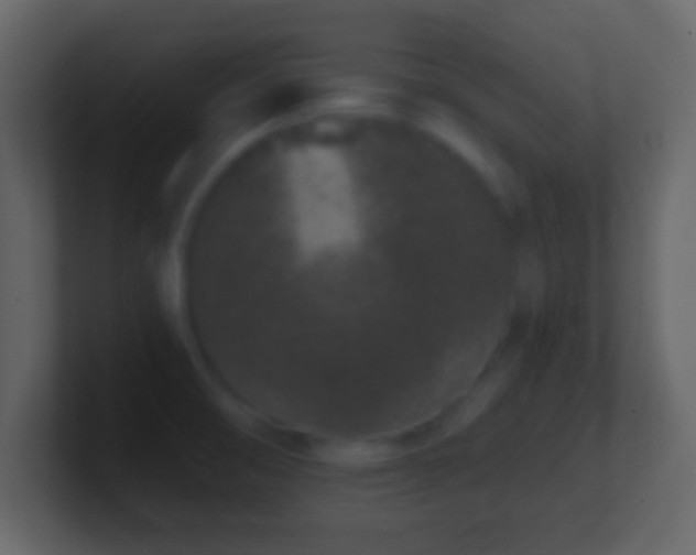 X0000101421474200807071305