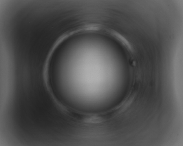 X0000101421475200807071305