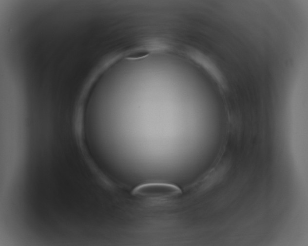 X0000101421477200807071305