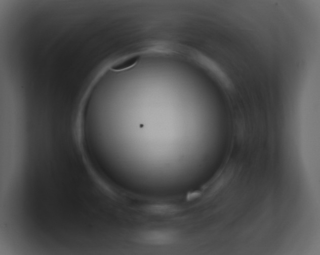 X0000101421479200807071305