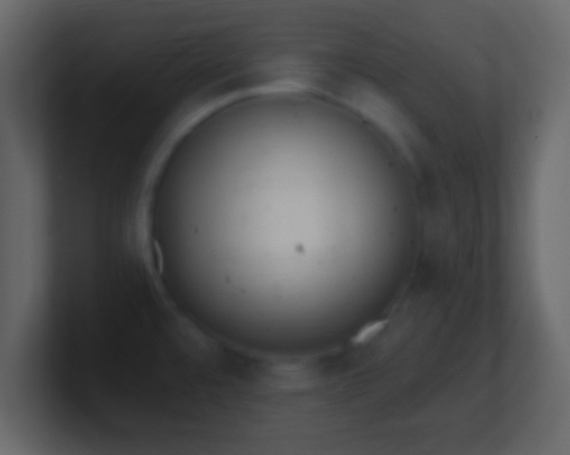X0000101421480200807071305
