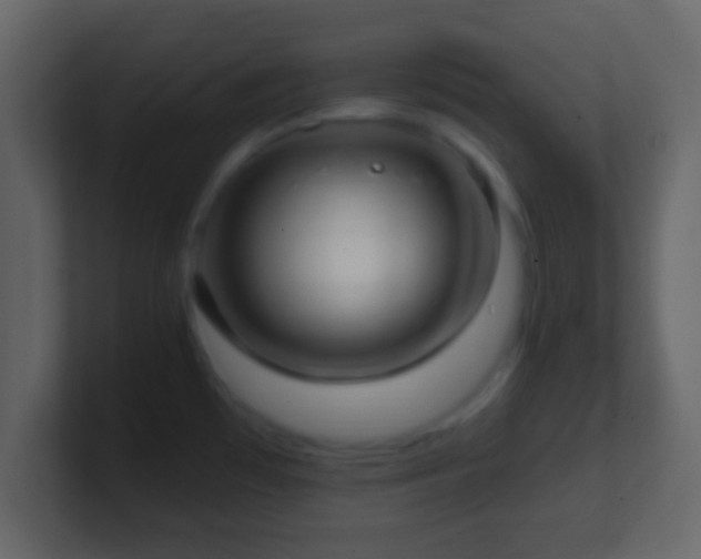 X0000101421481200807071305