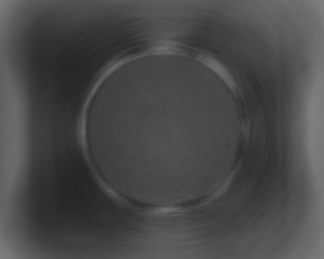 X0000101421482200807071305