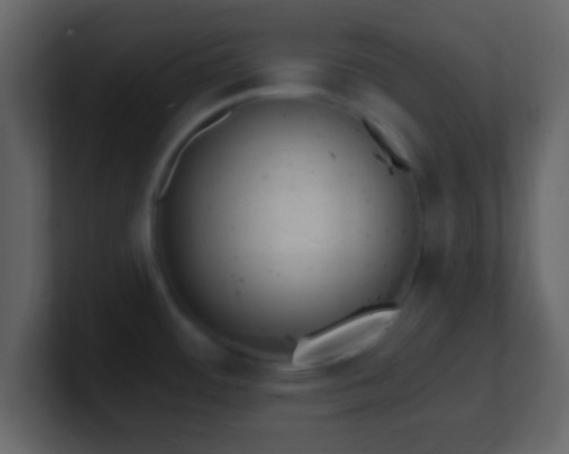 X0000101421484200807071305