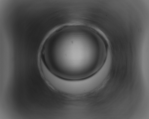 X0000101421485200807071305