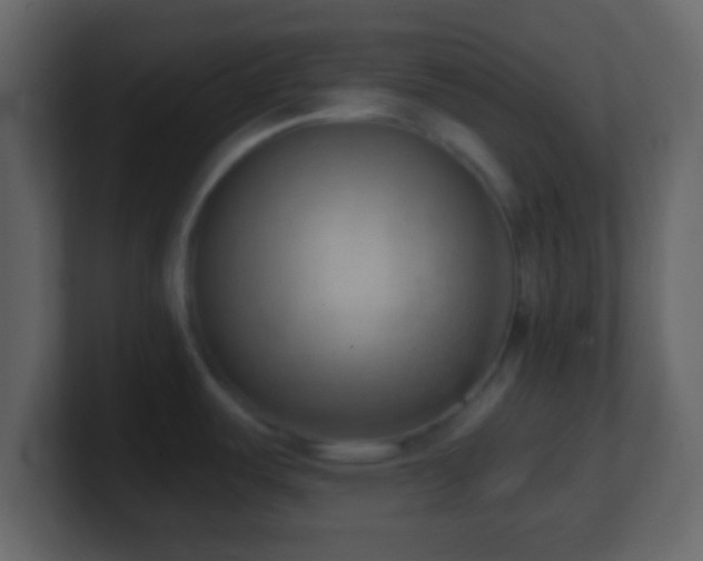 X0000101421487200807071305