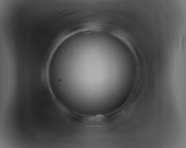 X0000101421488200807071305