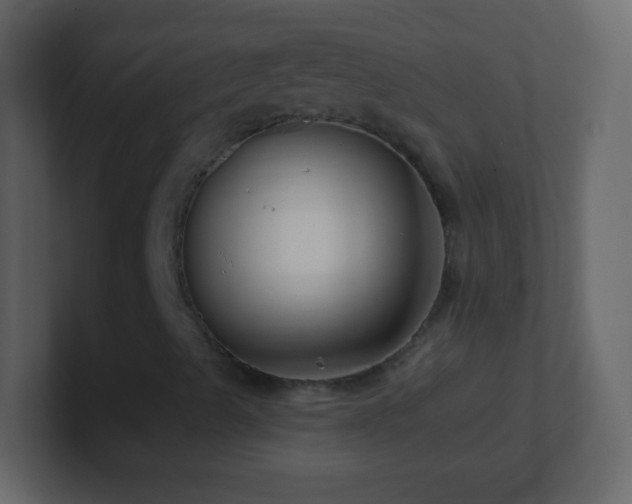 X0000101421489200807071304