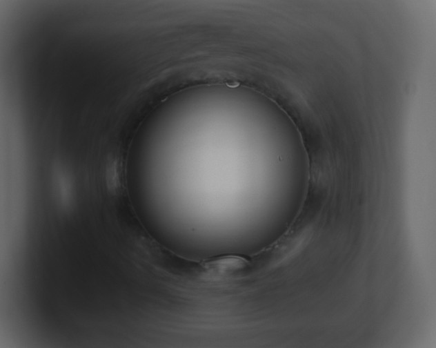 X0000101421490200807071304