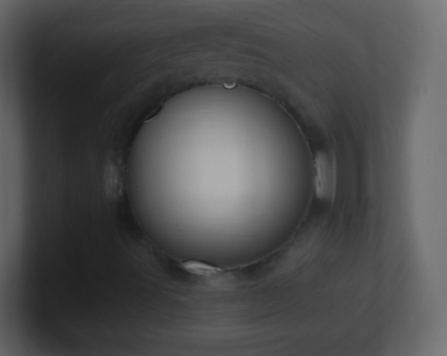 X0000101421491200807071304