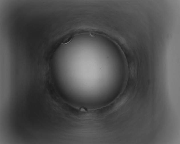 X0000101421494200807071304