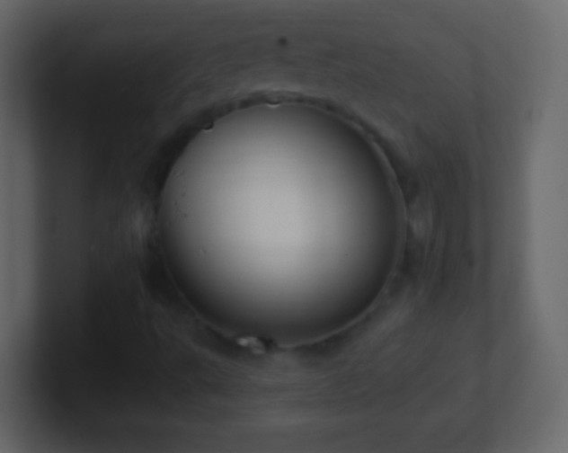 X0000101421495200807071304