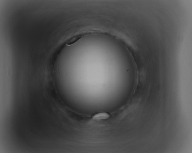 X0000101421496200807071305