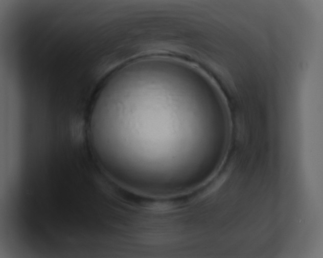X0000101421497200807071305