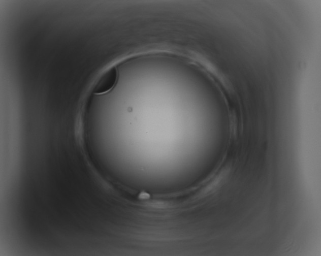 X0000101421500200807071305