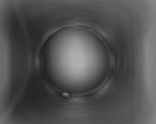 X0000101421501200807071305