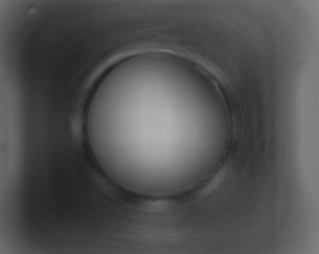 X0000101421502200807071305