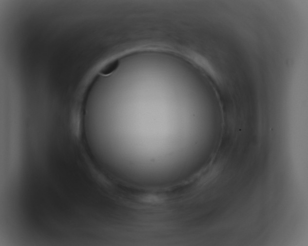 X0000101421504200807071305