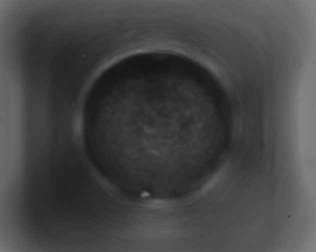 X0000101421506200807071305