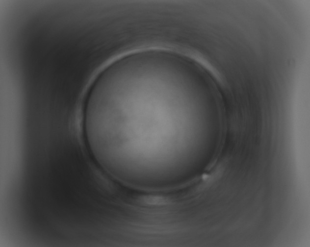 X0000101421508200807071305
