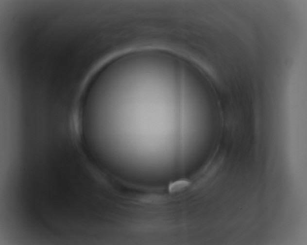 X0000101421510200807071305