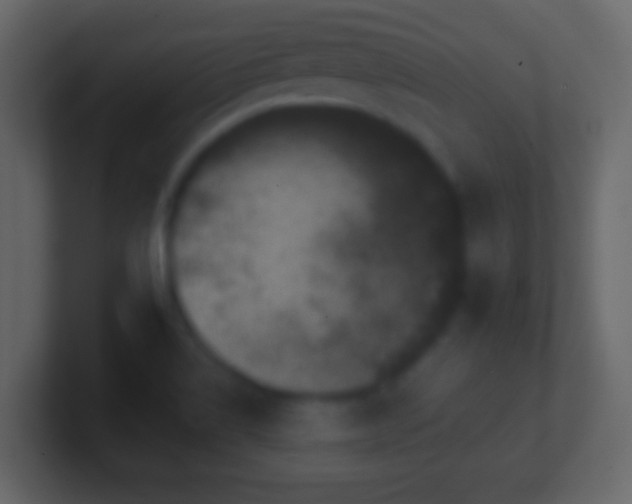 X0000101421514200807071305