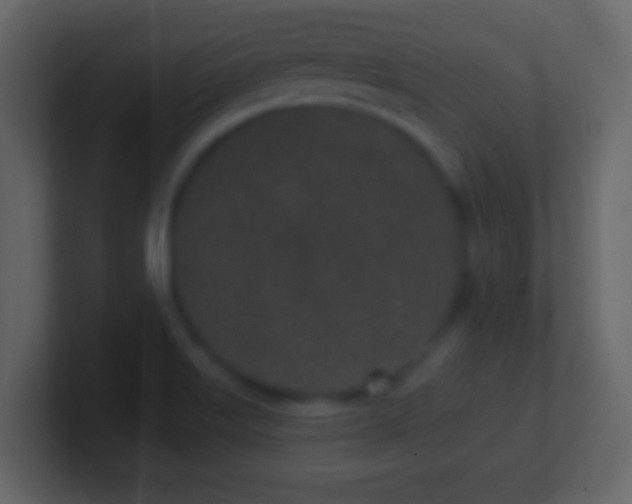 X0000101421515200807071305