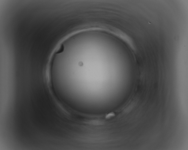 X0000101421516200807071305