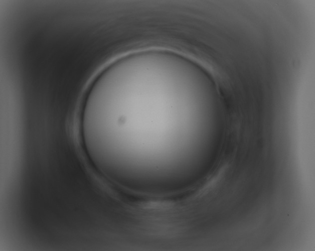 X0000101421518200807071305