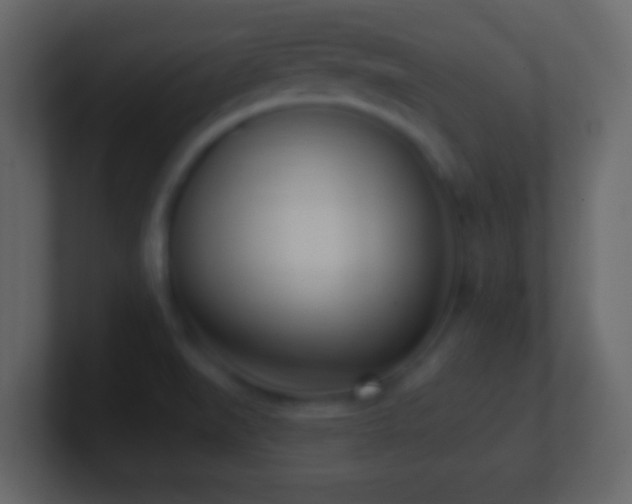 X0000101421519200807071305