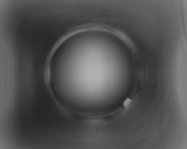X0000101421520200807071305