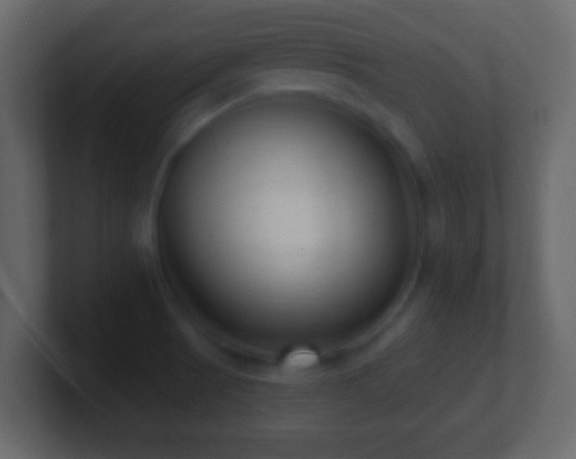 X0000101421521200807071305
