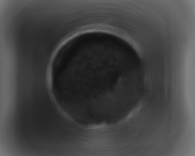 X0000101421522200807071305