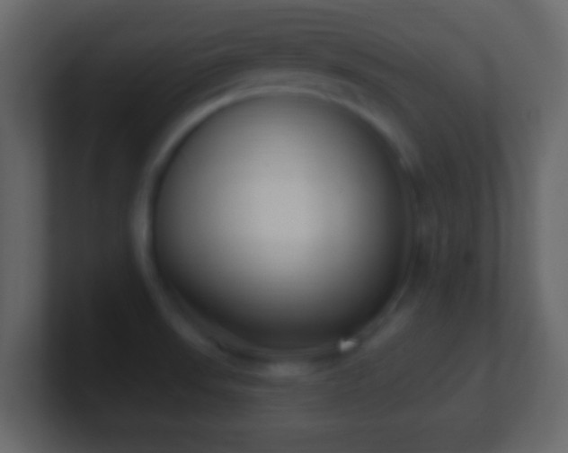 X0000101421523200807071305
