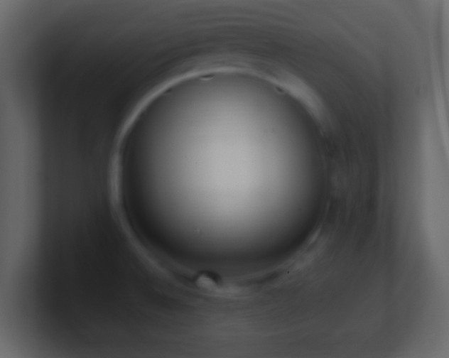 X0000101421524200807071305