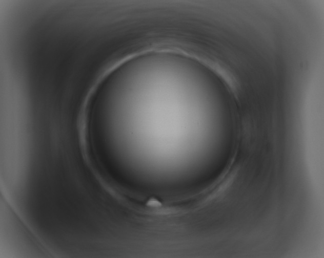 X0000101421525200807071305