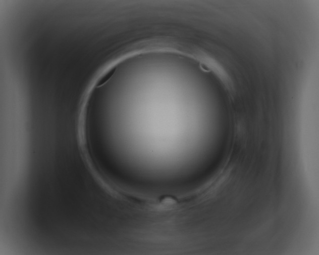X0000101421528200807071305
