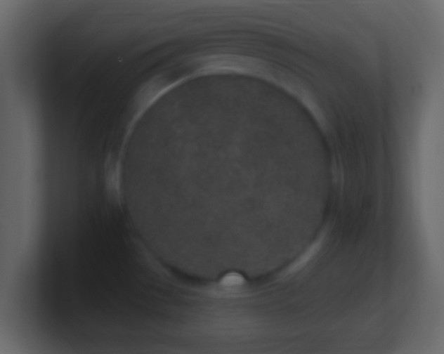 X0000101421529200807071305