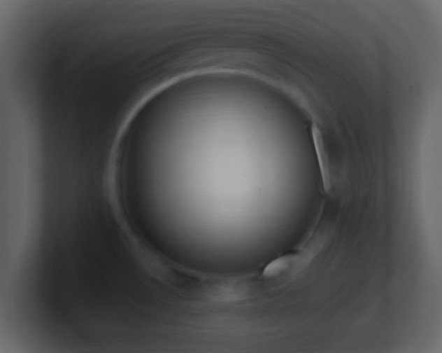 X0000101421530200807071305
