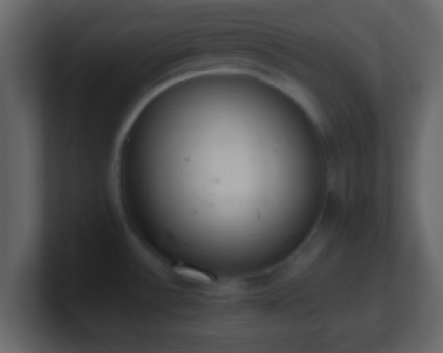 X0000101421532200807071305