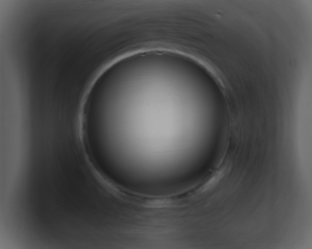 X0000101421535200807071305